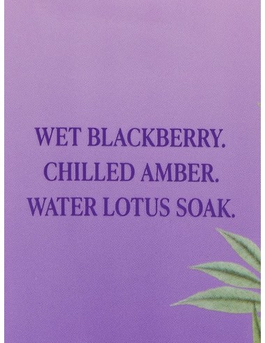 Victoria's Secret Blackberry Bite Lotion 236ml - TheBeautyCool