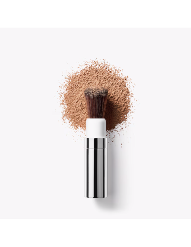 Clinique Face Powder + Brush 25g Ii - TheBeautyCool